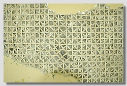 _DSC9520.JPG(115 KB)