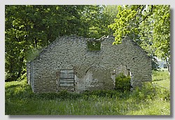 _DSC9523.JPG(195 KB)