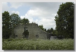 _DSC9527.JPG(130 KB)