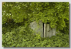 _DSC9536.JPG(183 KB)