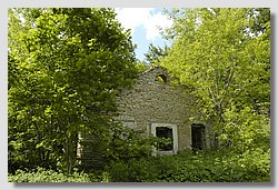 _DSC9537.JPG(210 KB)