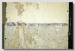 _DSC9546.JPG(113 KB)