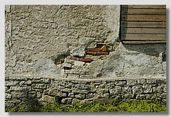 _DSC9555.JPG(200 KB)