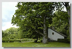 _DSC9580.JPG(173 KB)