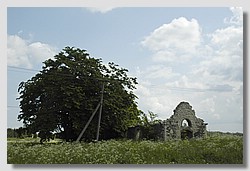 _DSC9584.JPG(102 KB)