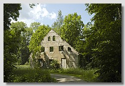 _DSC9586.JPG(161 KB)