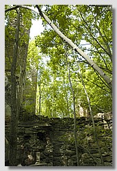 _DSC9588.JPG(204 KB)