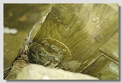 _DSC9589.JPG(82,9 KB)