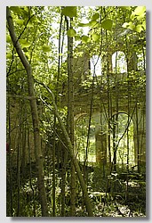 _DSC9592.JPG(205 KB)