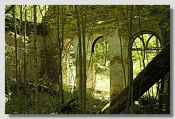 _DSC9593.JPG(174 KB)