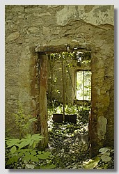 _DSC9596.JPG(142 KB)