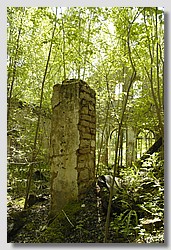 _DSC9598.JPG(225 KB)