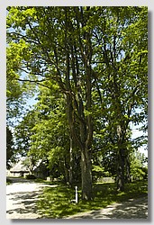 _DSC9605.JPG(223 KB)