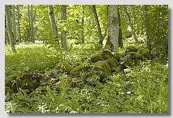 _DSC9611.JPG(189 KB)