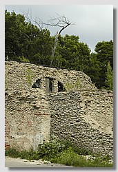 _DSC9723.JPG(187 KB)