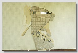 _DSC9726.JPG(94,3 KB)