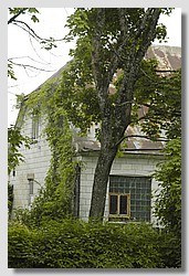 _DSC9738.JPG(167 KB)