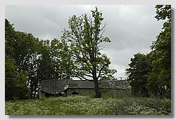 _DSC9749.JPG(148 KB)