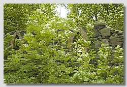 _DSC9759.JPG(203 KB)