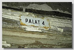 _DSC9769.JPG(133 KB)