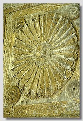 _DSC9797.JPG(185 KB)