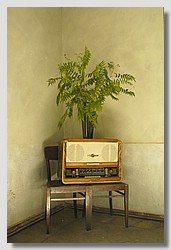 _DSC9814.JPG(78,8 KB)