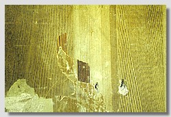 _DSC9830.JPG(135 KB)