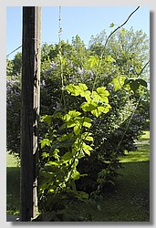 _DSC9842.JPG(164 KB)