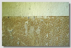 _DSC9869.JPG(133 KB)